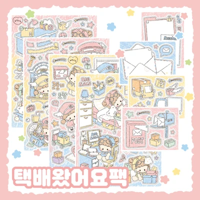택배왔어요팩