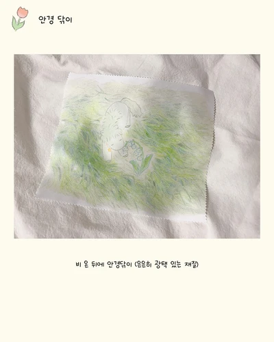 비 온 뒤에 안경닦이