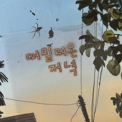 [키스컷] 🤎 상어와여름체 갈색