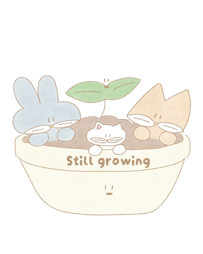 스틸그로잉 여름마켓