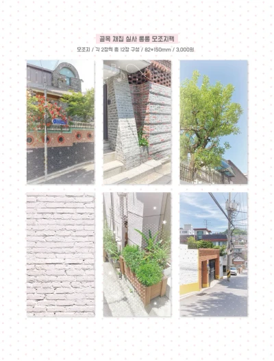 [선주문가능] 골목 채집 실사 모조지팩