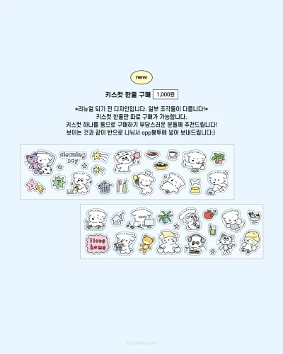 키스컷 띵 소분 구매