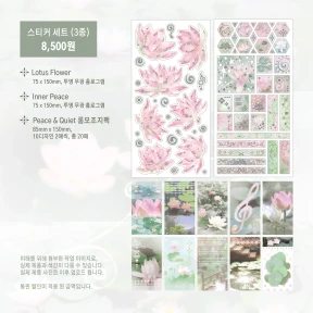 🪷 7월 세트 구성 모음 🪷