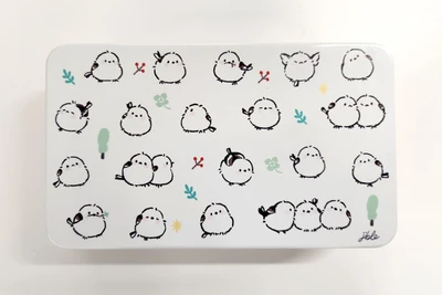 틴케이스