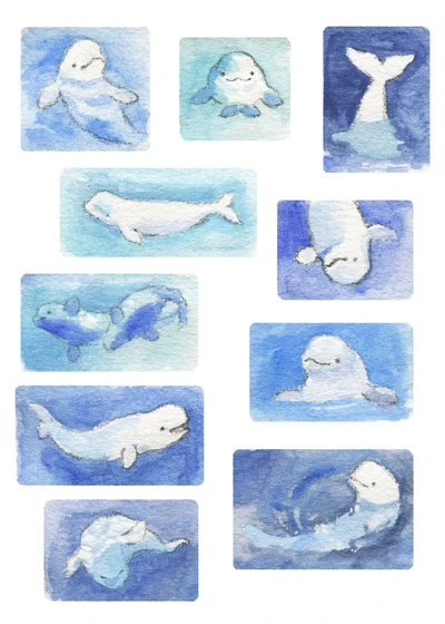 벨루가 스티커