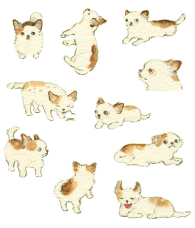 치와와 스티커