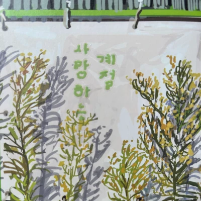 💚 [키스컷] 동그란어항체 연두색