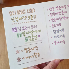 [5m] 키스컷 패키지