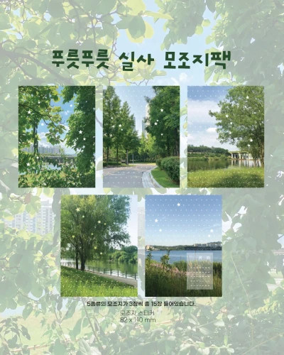 푸릇푸릇 실사 모조지팩