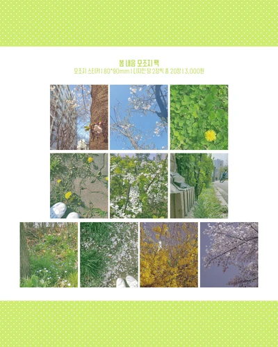 봄 내음 모조지 팩 🌱