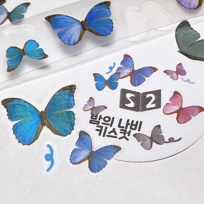 밤의 나비 키스컷