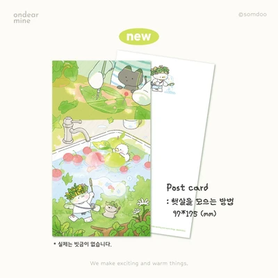 엽서 : 햇살을 모으는 방법