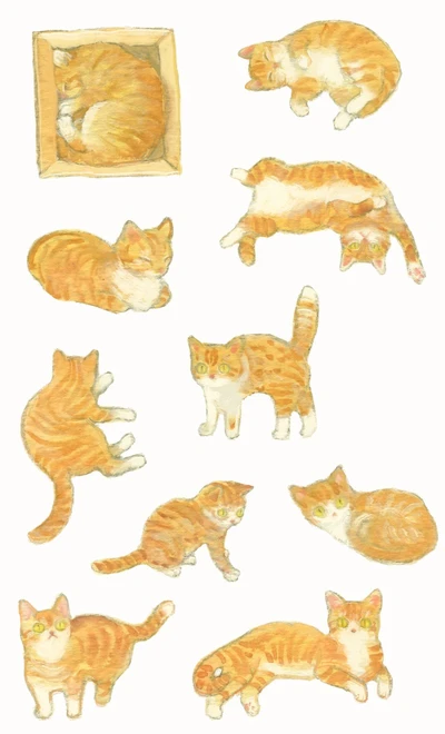 치즈 고양이 스티커