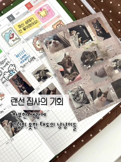 넴모넴모 냥냥이 모조스티커