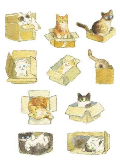 상자안 고양이 스티커