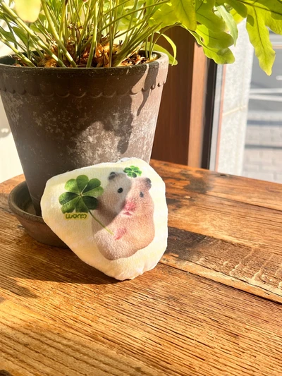 [new]햄사원 쿠션키링