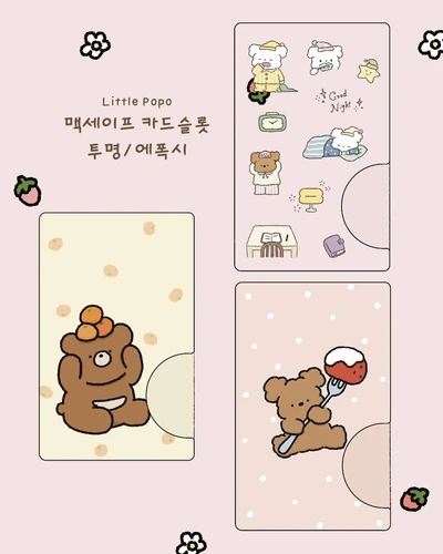 맥세이프 카드슬롯