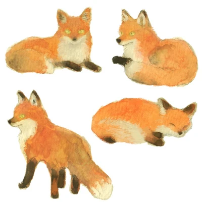 큰여우 스티커