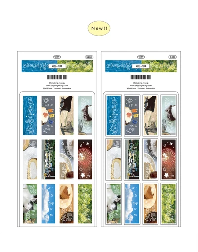 사진+기록