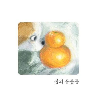 집의 동물들 일러스트책