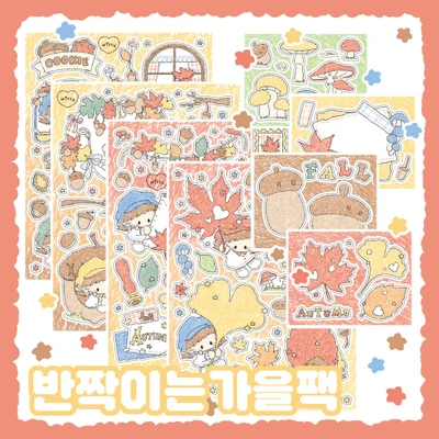 반짝이는가을팩