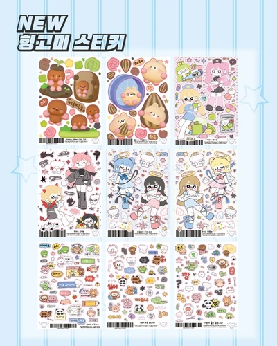11월 신상