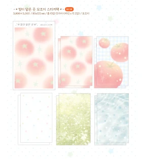 🆕빛이 닿은 곳 모조지 스티커팩