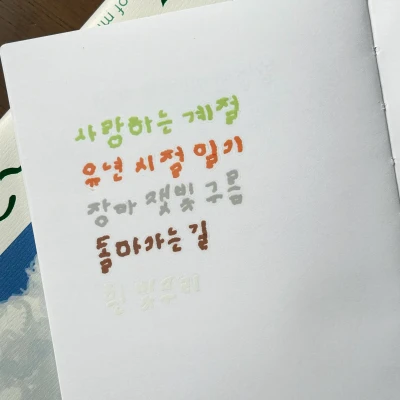🧡🤎🤍🩶💚 [키스컷] 동그란어항체 5색 세트