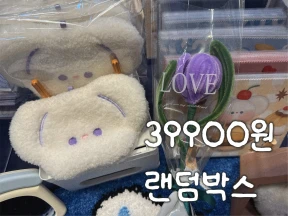39900원 랜덤박스