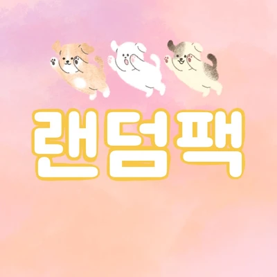 랜덤팩