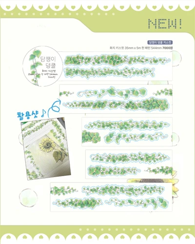 덩쿨 키스컷