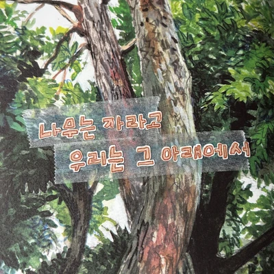 🤎 상어와여름체 갈색 🦈