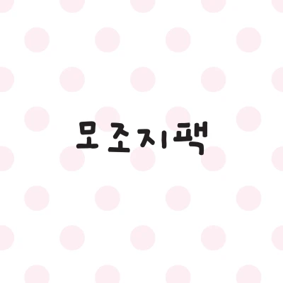 💗 모조지팩