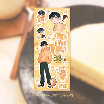 고양이 사진 교류회_냥이집사님