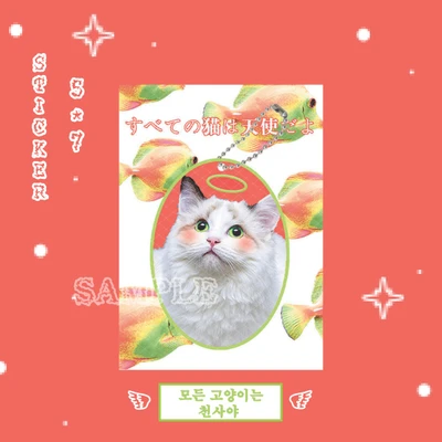 <NEW>모든 고양이는 천사야 스티커