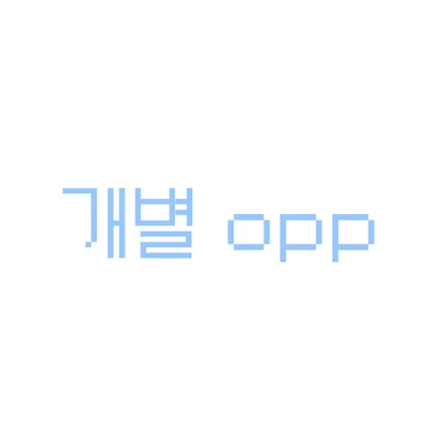 개별 opp포장