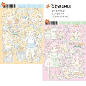 집정리 패키지