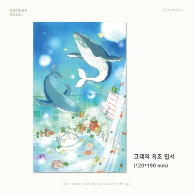 고래의 욕조 엽서