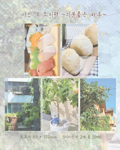 사진모조지팩