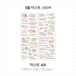 9월 텍스트