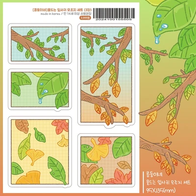 Sale❤️SEASON❤️물드는 잎사귀 모조지 세트(3장)