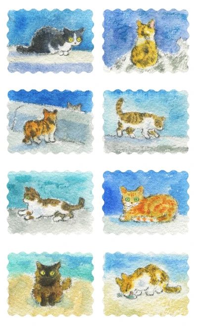 바닷가 고양이 스티커