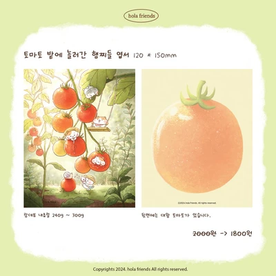 자연 테마 엽서 2종