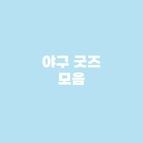 ★ 야구템 모음 ★