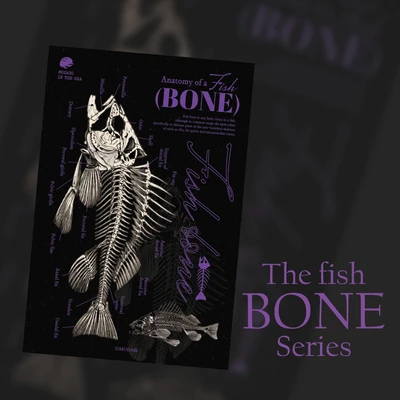 (Postcard) Anatomy of a fish BONE postcard