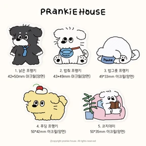 프랭키 아크릴 클립 5종