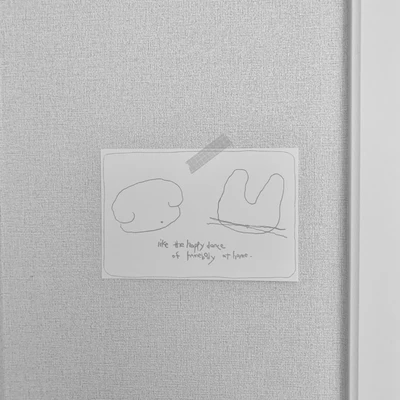 토끼 댕댕이 postcard -!!