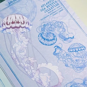 (Postcard) Modabi's ocean illustrated guide postcard