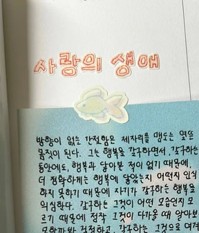 💓 [상어와 여름체] 빨강분홍 🦈 