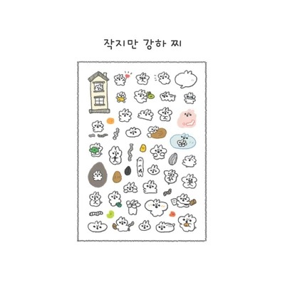 🐰 큐티즈의 하루